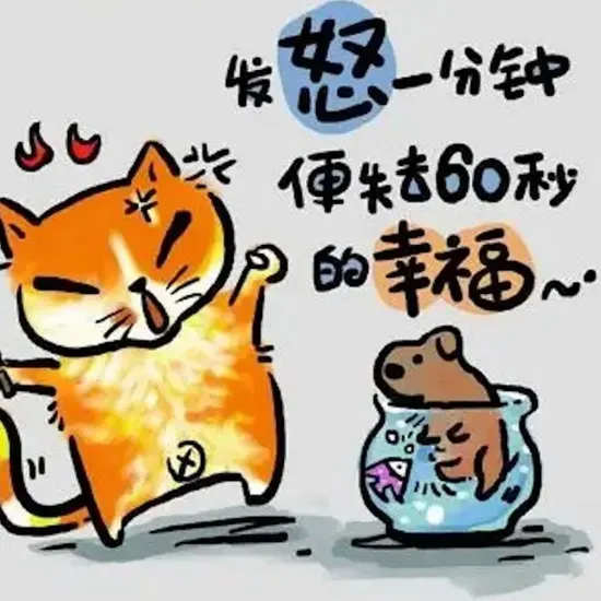 爱的选择